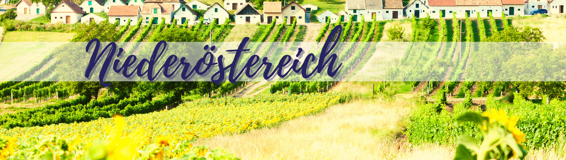 Niederösterreich Weinregion
