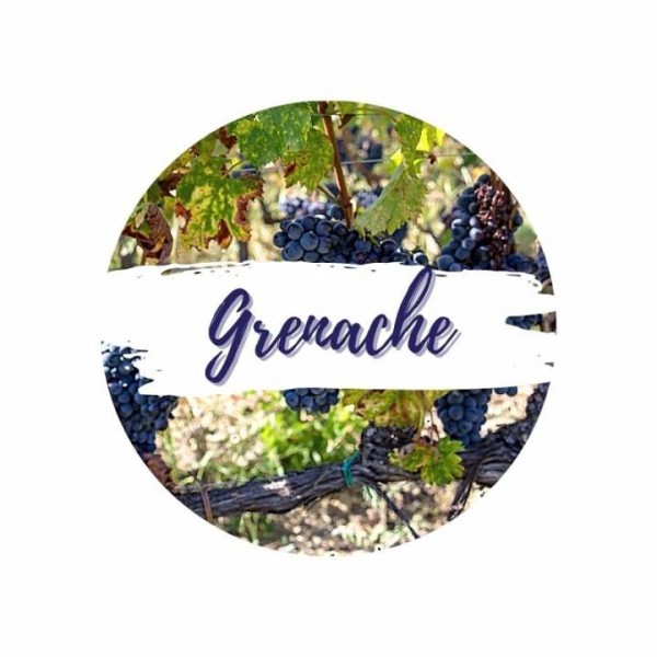 Grenache-Weine online bestellen