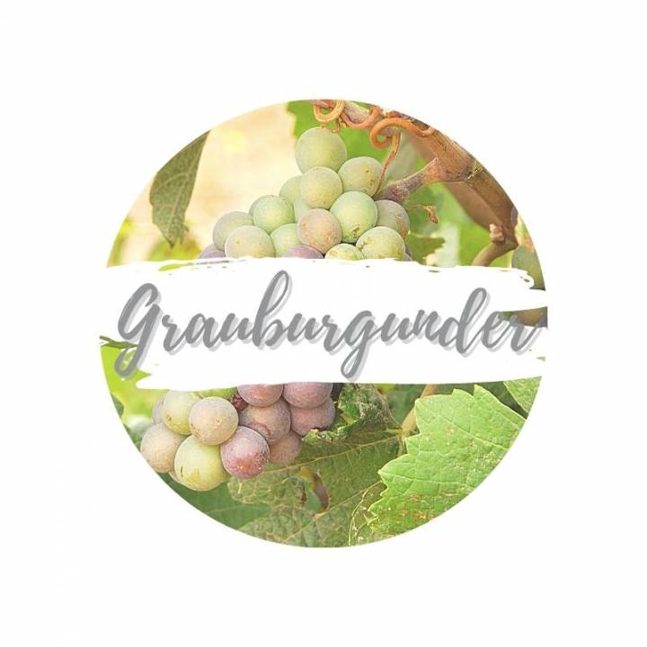 Grauburgunder