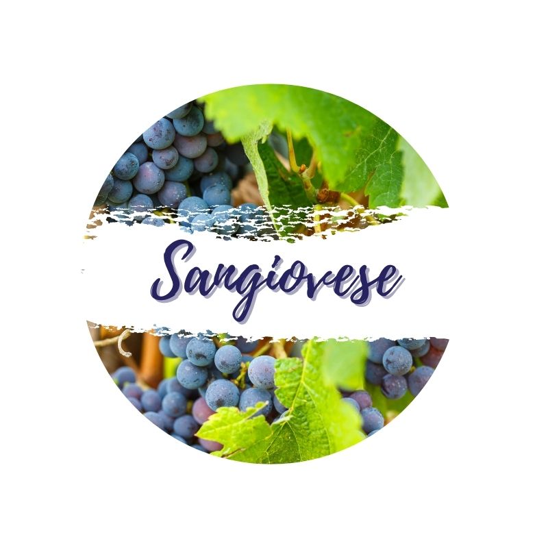 Sangiovese