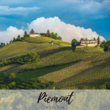 Piemont Weine