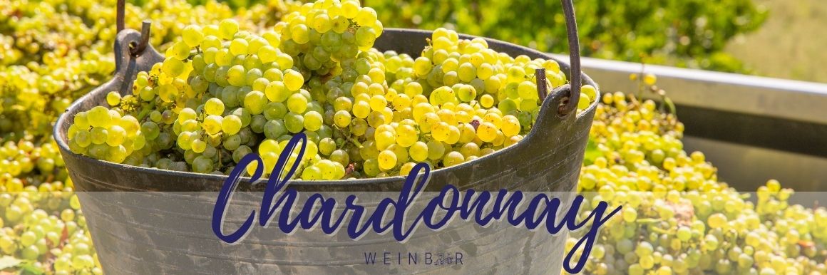 Chardonnay