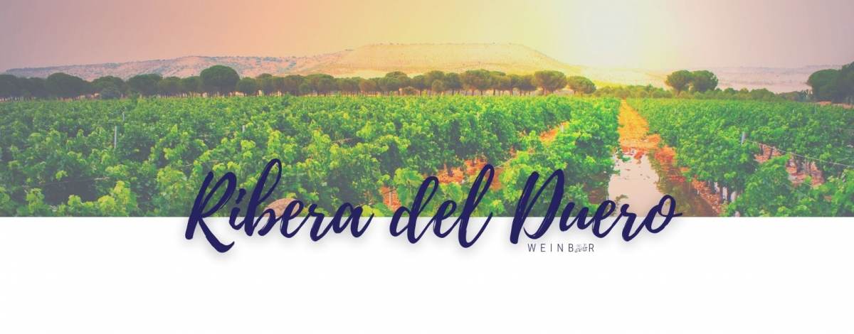 Weine Ribera del Duero online bestellen