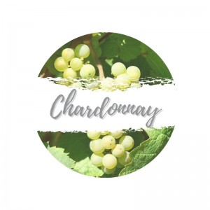 chardonnay-for-the-way-online