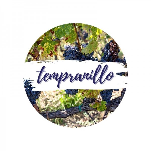 Tempranillo-Weine online kaufen