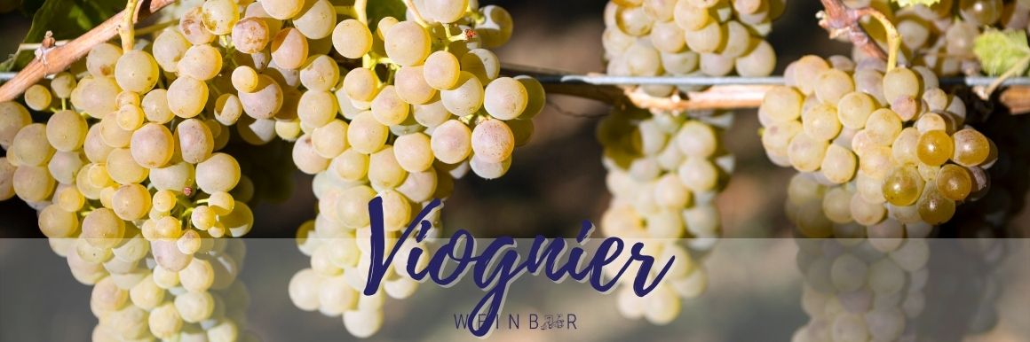 Viognier