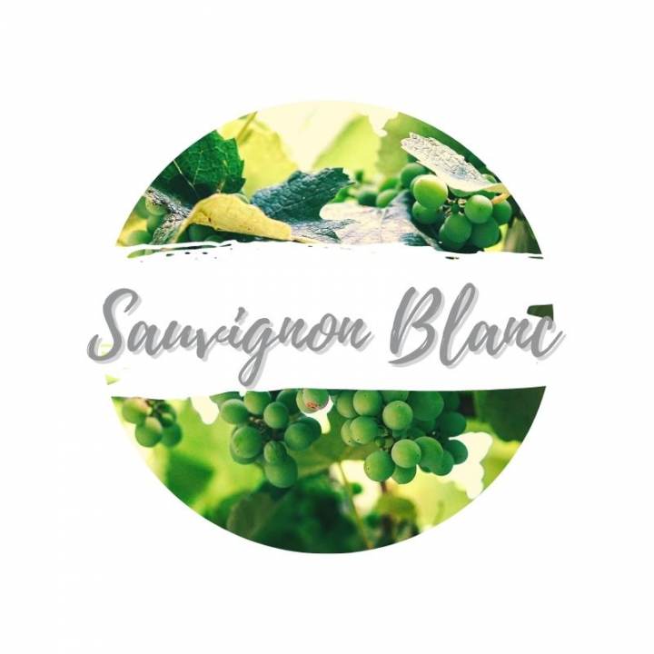 Sauvignon Blanc