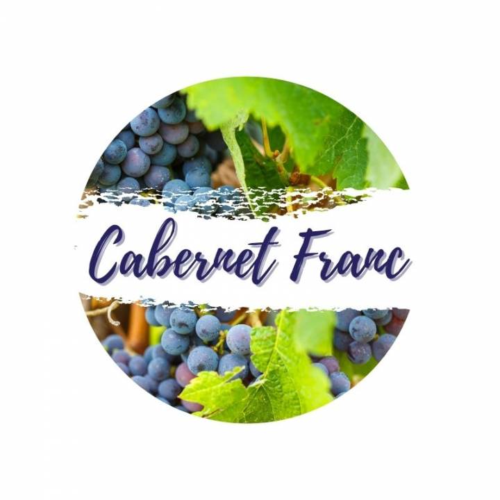 Cabernet Franc