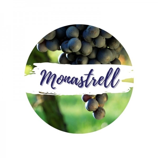 Monastrell-Weine online kaufen