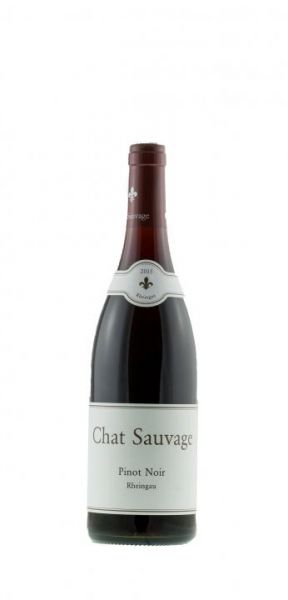 8282_Rheingau_PN_Chat_Sauvage