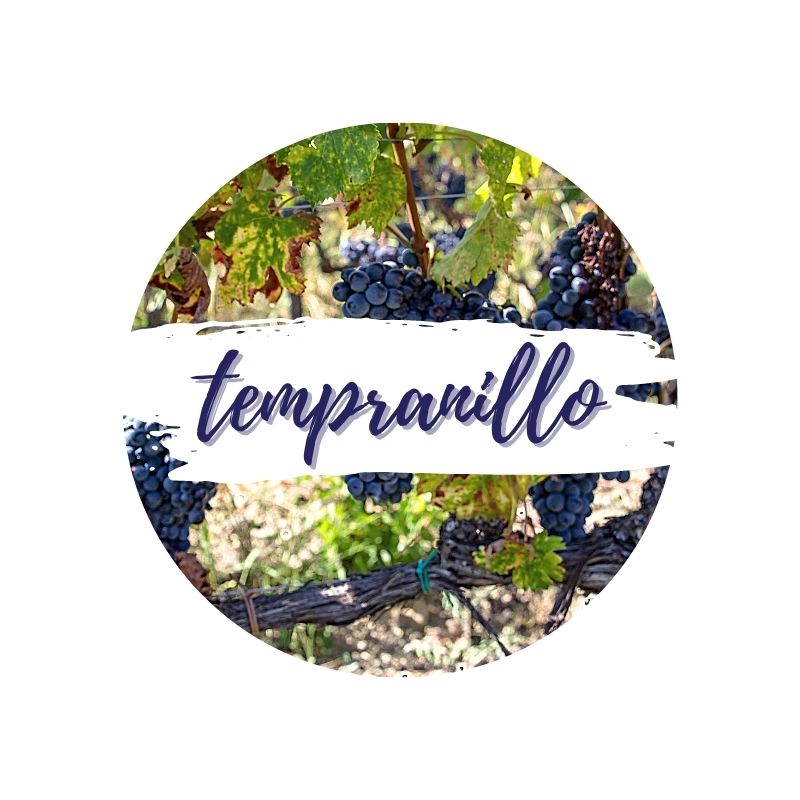 Tempranillo-Weine-online-kaufen