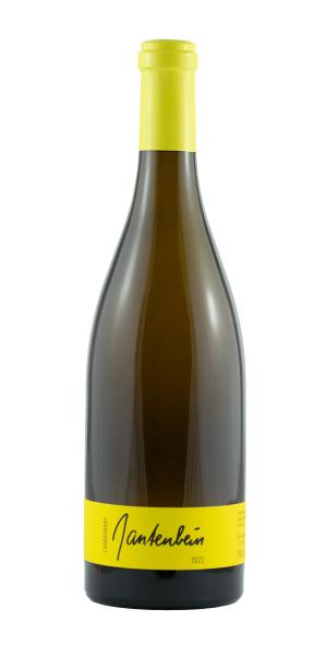 Chardonnay