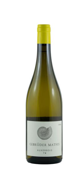 TB Auxerrois