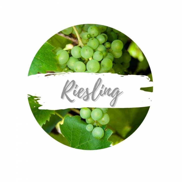 Riesling