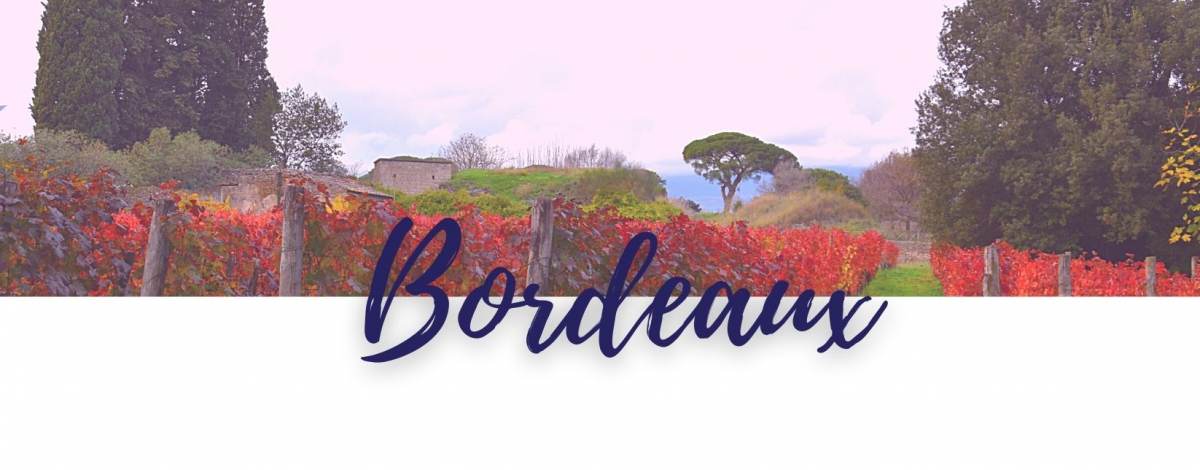 Bordeaux online kaufen