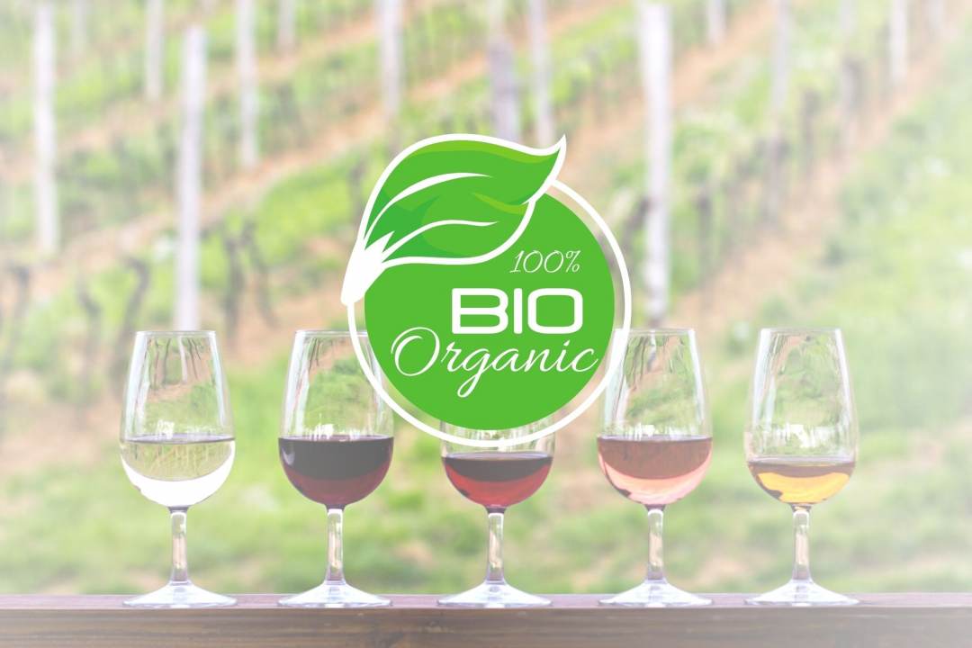 BIO Wein